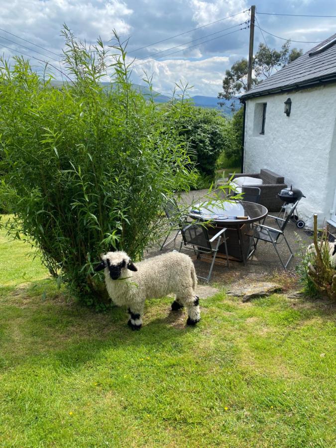 Fron Goch Cottage Dolwyddelan מראה חיצוני תמונה